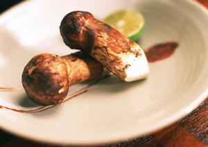 大阪のミナミはホストクラブが沢山ある！