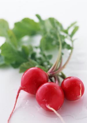 大人気ホストクラブ「エアーグループ」